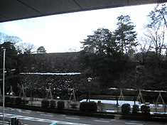a0177205_20424230.jpg
