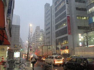 春の初日と思いきや・・・。_d0091909_17471593.jpg