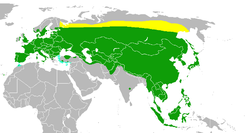 f0231709_83403.png