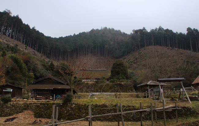 a0203510_01486.jpg