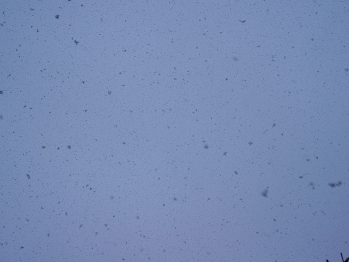 空から雪降ってきた_e0276411_1653133.jpg