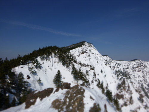a0236914_127094.jpg
