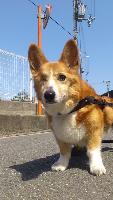 言葉。_f0190816_2201521.jpg