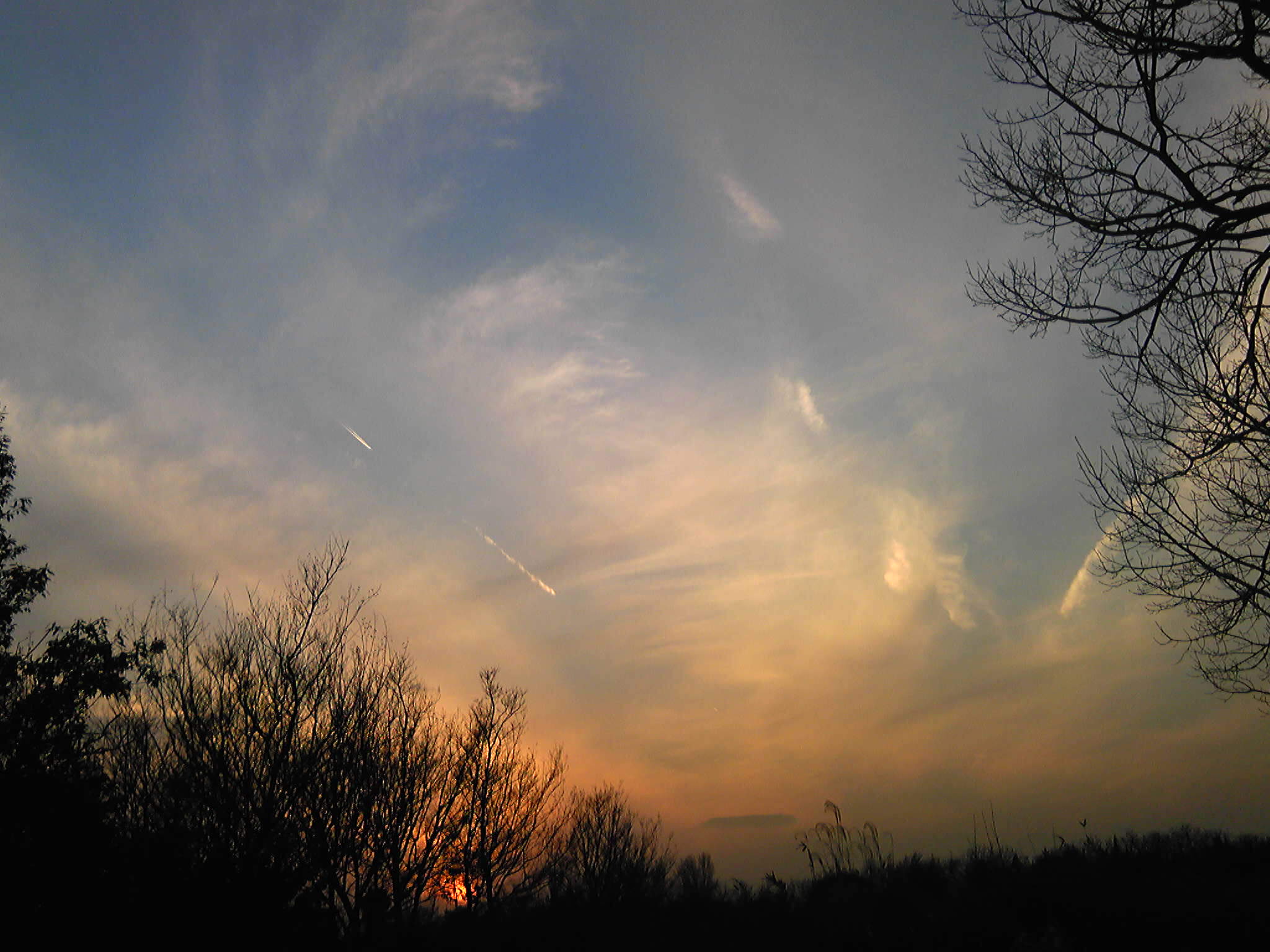 b0285619_10183696.jpg