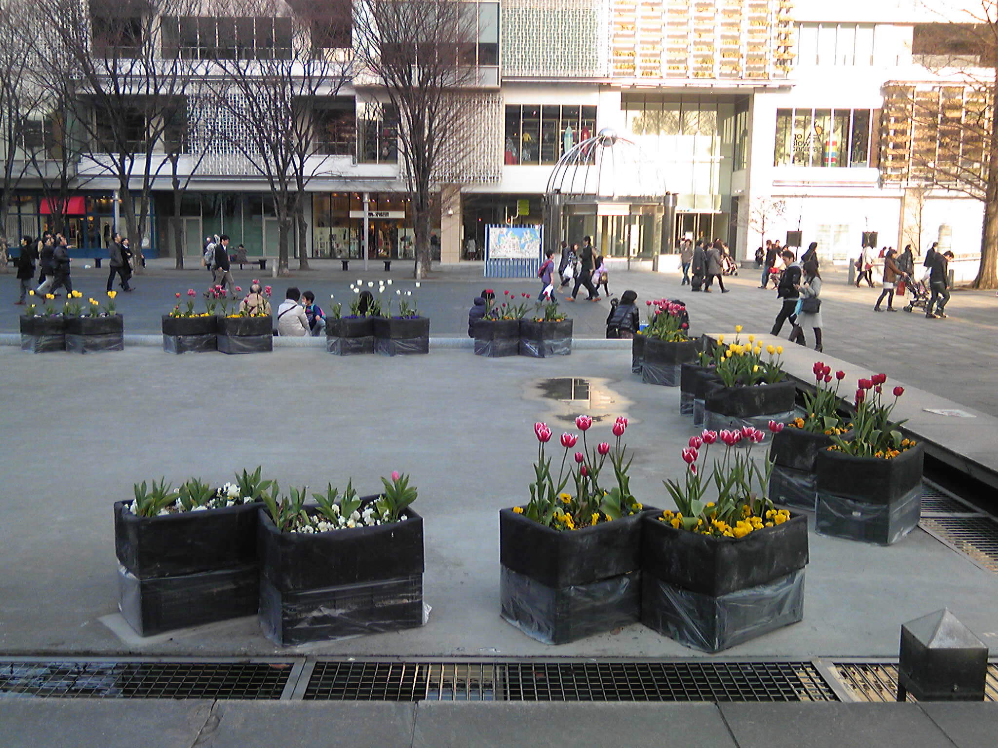 b0285619_1019252.jpg