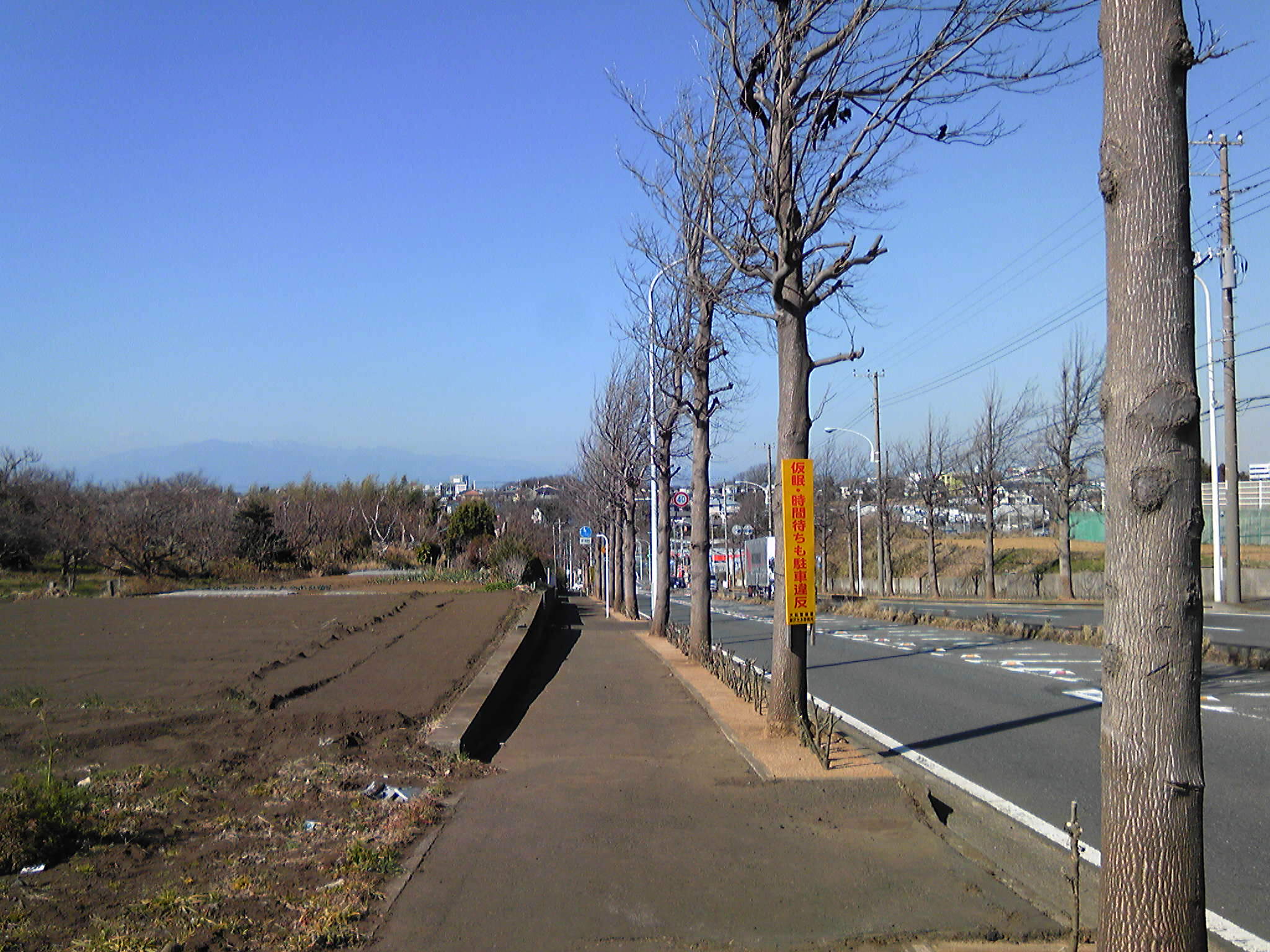 b0285619_10211690.jpg