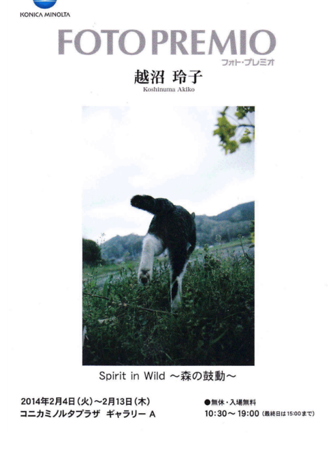 越沼玲子 写真展「Spirit in Wild～森の鼓動～」_c0194541_15353598.png