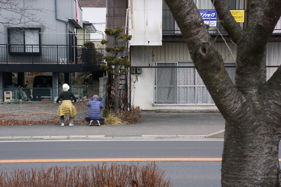 3匹勢揃い_c0035245_0112883.jpg