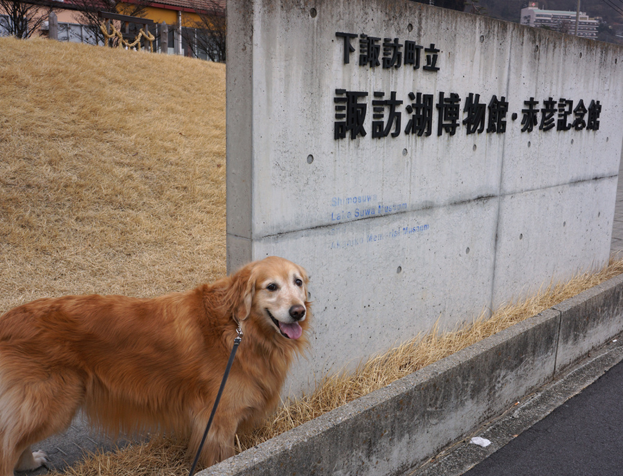 3匹勢揃い_c0035245_02254.jpg