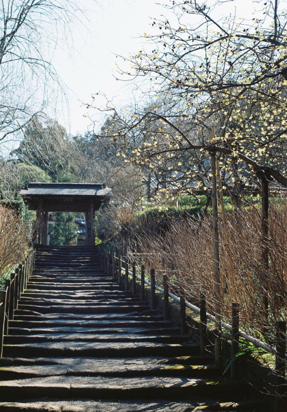 c0199146_22414675.jpg