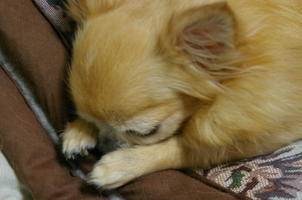 f0154751_21501545.jpg