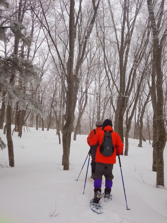  憧れの豪雪温泉へGO_f0201157_23141077.jpg