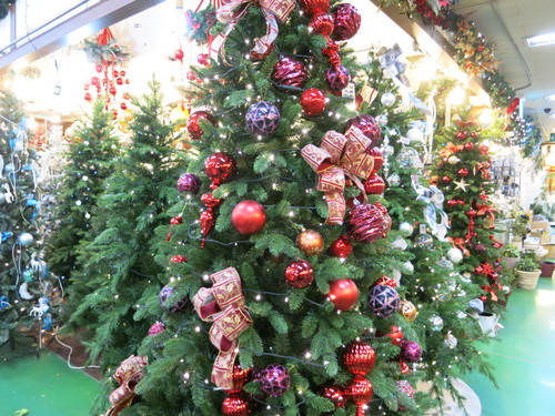 f0236260_0591369.jpg