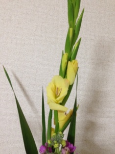 f0200863_17184292.jpg