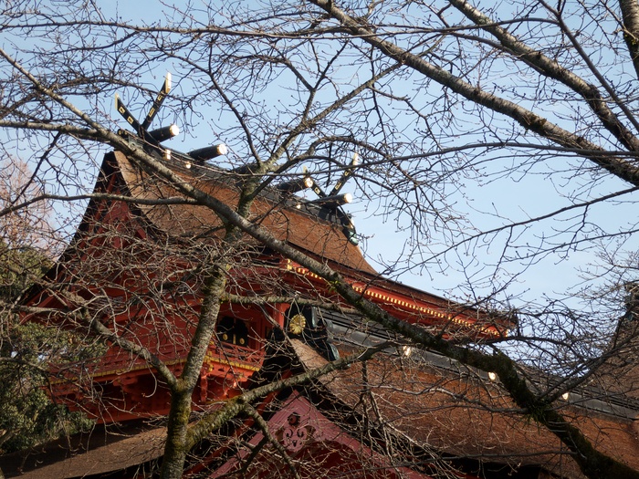 a0098864_22291277.jpg