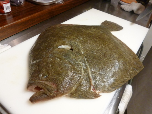 今日の魚です。_e0252966_14241886.jpg