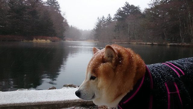 b0274270_118439.jpg