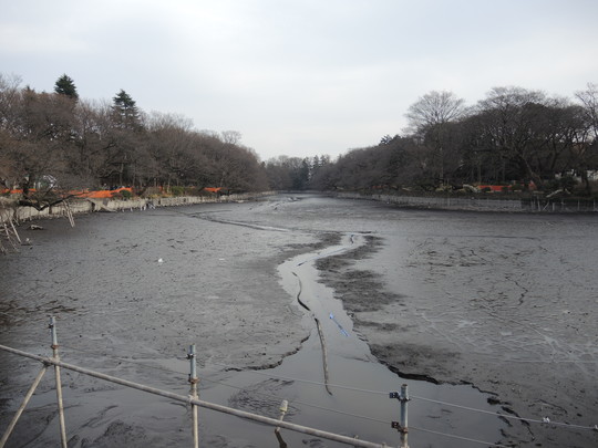 e0232277_110544.jpg