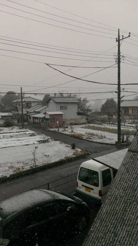 初冠雪_a0143379_13522378.jpg