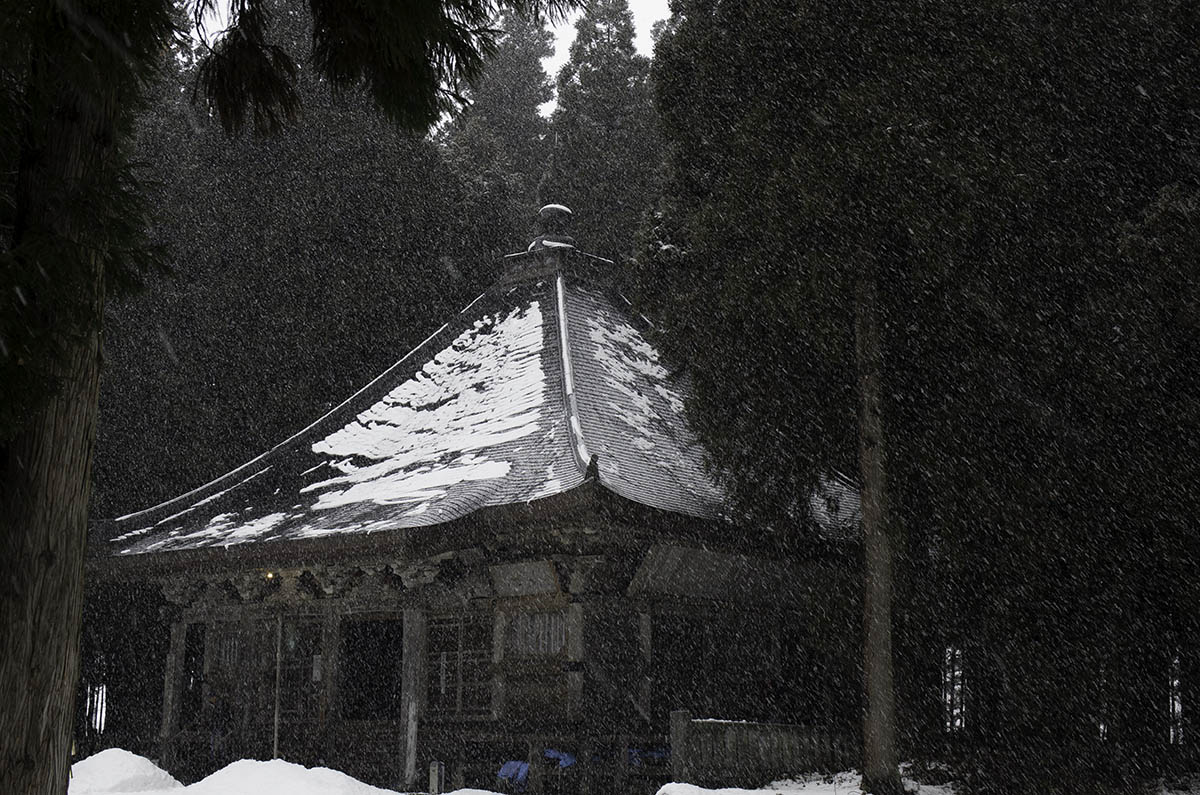 2014のスタートは清水寺_b0001380_4141686.jpg