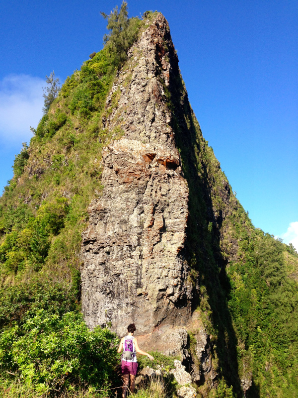 2014/01/20 Mountain Running Trip in Oahu of Hawaii Day.4 Nu\'uana Pali-Koko Crater Rim Trail_b0220886_18224032.jpg