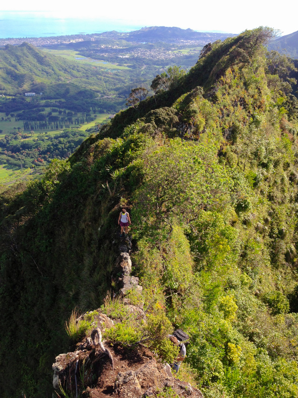2014/01/20 Mountain Running Trip in Oahu of Hawaii Day.4 Nu\'uana Pali-Koko Crater Rim Trail_b0220886_18234754.jpg