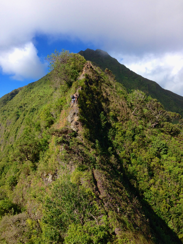 2014/01/20 Mountain Running Trip in Oahu of Hawaii Day.4 Nu\'uana Pali-Koko Crater Rim Trail_b0220886_18235925.jpg