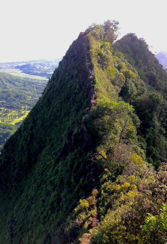 2014/01/20 Mountain Running Trip in Oahu of Hawaii Day.4 Nu\'uana Pali-Koko Crater Rim Trail_b0220886_1823943.jpg
