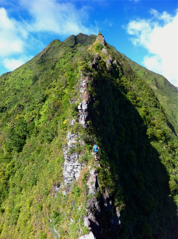 2014/01/20 Mountain Running Trip in Oahu of Hawaii Day.4 Nu\'uana Pali-Koko Crater Rim Trail_b0220886_1840514.jpg