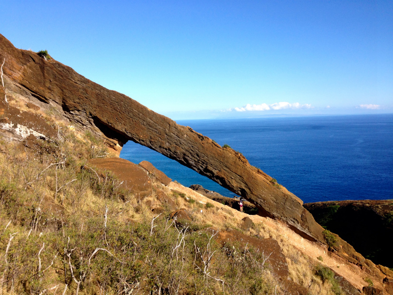 2014/01/20 Mountain Running Trip in Oahu of Hawaii Day.4 Nu\'uana Pali-Koko Crater Rim Trail_b0220886_1851941.jpg