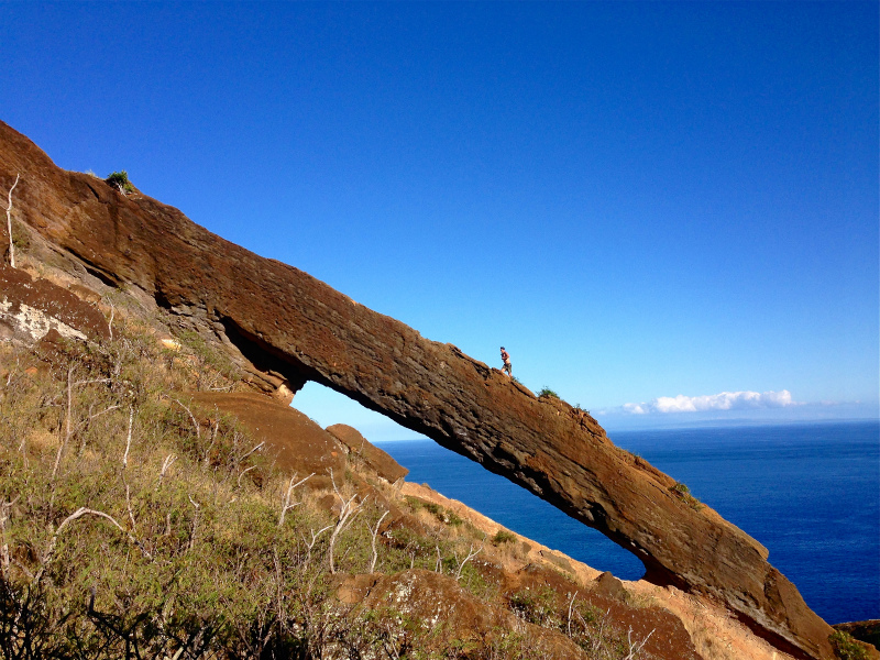 2014/01/20 Mountain Running Trip in Oahu of Hawaii Day.4 Nu\'uana Pali-Koko Crater Rim Trail_b0220886_1982311.jpg
