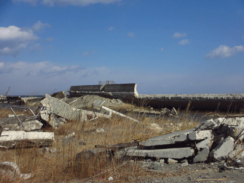 f0110488_030597.gif