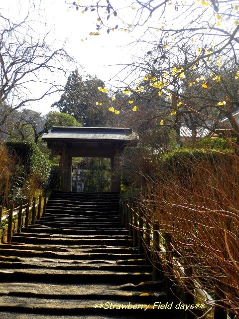 c0087094_16355373.jpg