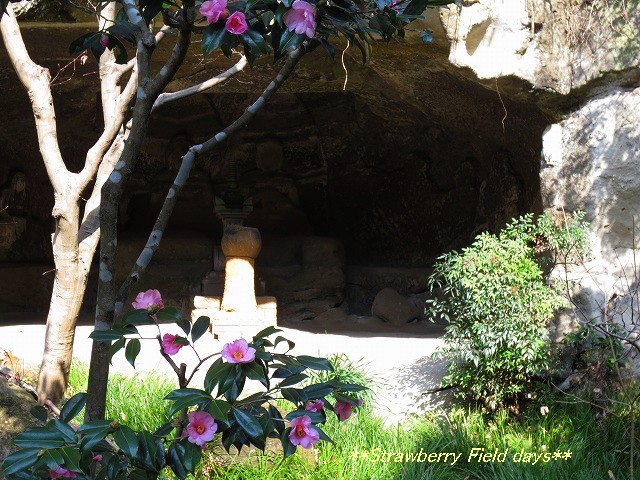 c0087094_1654055.jpg