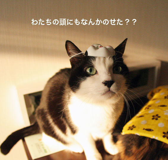 d0071596_21122334.jpg
