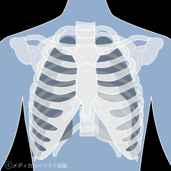 e0137200_21304734.png