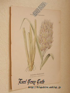e0207503_21375123.png
