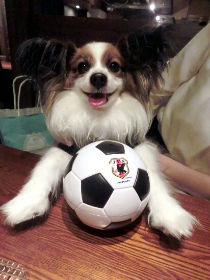 c0110906_23535548.jpg