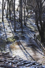 c0248013_15364246.jpg