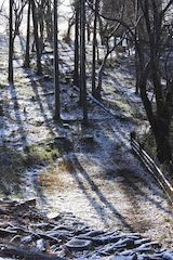 天気予報通り雪_c0248013_15364246.jpg