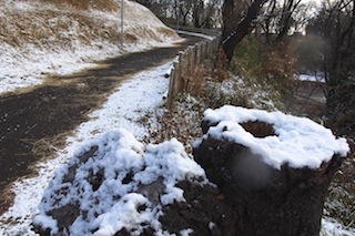 天気予報通り雪_c0248013_15382435.jpg