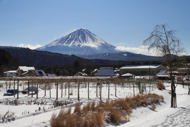 富士山三昧_d0026817_21353697.jpg