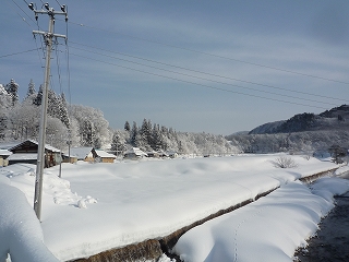 c0189218_781717.jpg