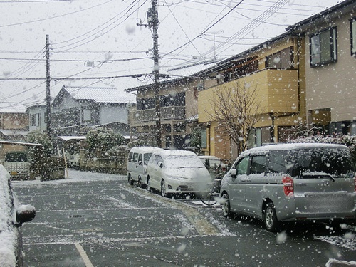 It\'s snowing!    雪だぁ!_b0279527_23341490.jpg