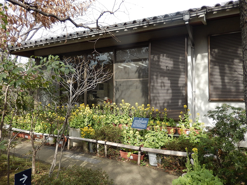 e0158128_2105825.jpg