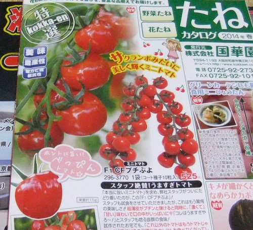 野菜の種,,,,_b0137932_21453545.jpg