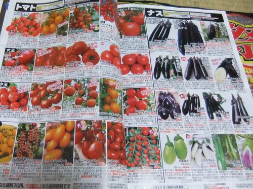 野菜の種,,,,_b0137932_21455893.jpg