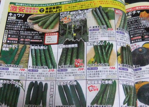 野菜の種,,,,_b0137932_2146956.jpg