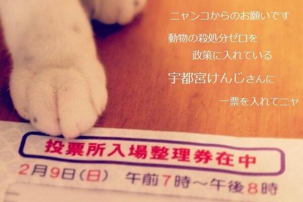 宇都宮けんじ氏、「動物 殺処分 ゼロに」 政策正式発表_c0024539_1545324.jpg