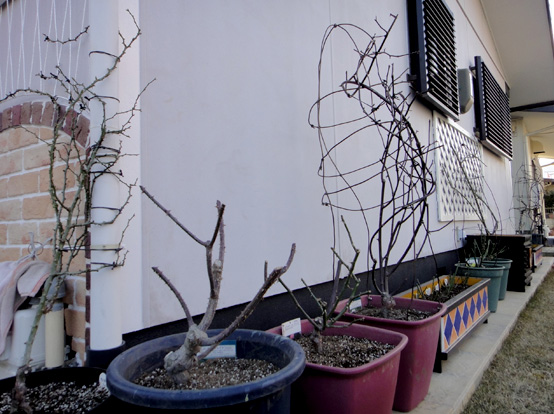 a0056140_16503149.jpg
